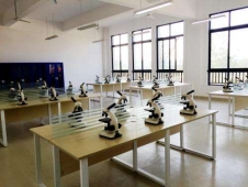 http://m.hobbyeyes.com/school-2/document-id-61.html
