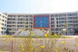 http://m.hobbyeyes.com/school-2/document-id-739.html